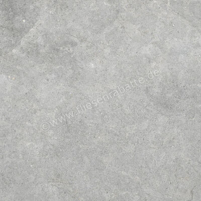  Ragno Richmond Silver 60x60 cm Bodenfliese / Wandfliese Matt Eben Naturale RCDU | 516427