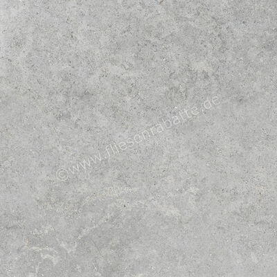  Ragno Richmond Silver 60x60 cm Bodenfliese / Wandfliese Matt Eben Naturale RCDU | 516433
