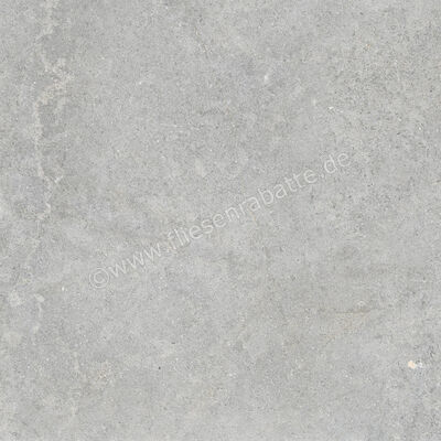  Ragno Richmond Silver 60x60 cm Bodenfliese / Wandfliese Matt Eben Naturale RCDU | 516439
