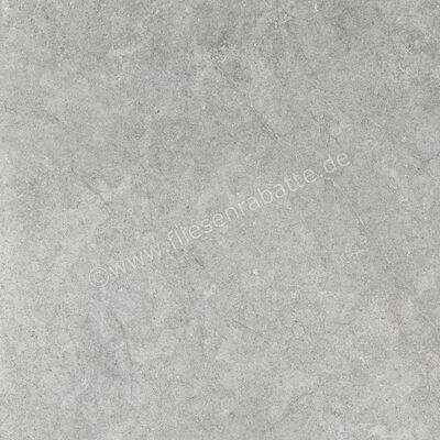  Ragno Richmond Silver 60x60 cm Bodenfliese / Wandfliese Matt Eben Naturale RCDU | 516445