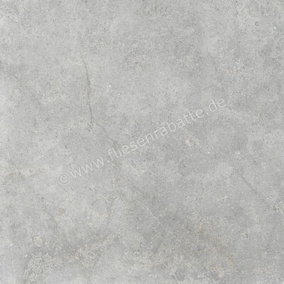  Ragno Richmond Silver 60x60 cm Bodenfliese / Wandfliese Matt Eben Naturale RCDU | 516451