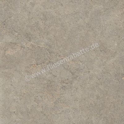 Ragno Richmond Musk 60x60 cm Bodenfliese / Wandfliese Matt Eben Naturale RCDV | 516463