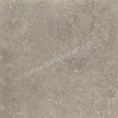  Ragno Richmond Musk 60x60 cm Bodenfliese / Wandfliese Matt Eben Naturale RCDV | 516469
