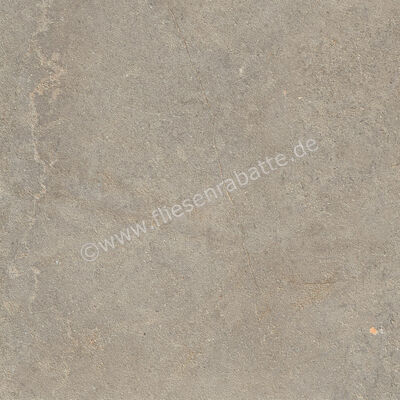  Ragno Richmond Musk 60x60 cm Bodenfliese / Wandfliese Matt Eben Naturale RCDV | 516487