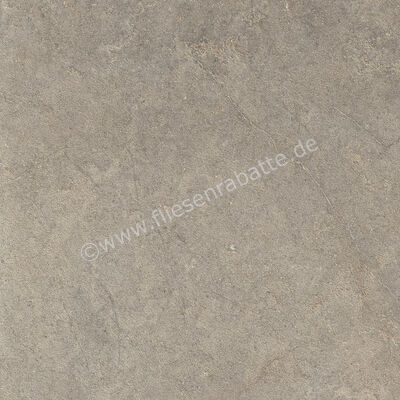  Ragno Richmond Musk 60x60 cm Bodenfliese / Wandfliese Matt Eben Naturale RCDV | 516493