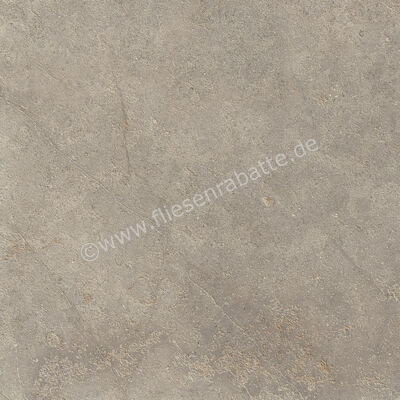  Ragno Richmond Musk 60x60 cm Bodenfliese / Wandfliese Matt Eben Naturale RCDV | 516499