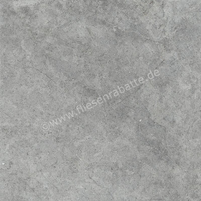  Ragno Richmond Carbon 60x60 cm Bodenfliese / Wandfliese Matt Eben Naturale RCDW | 516505