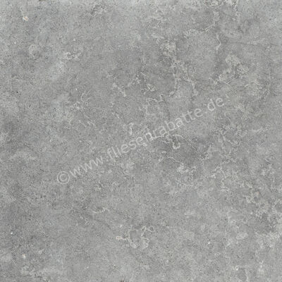  Ragno Richmond Carbon 60x60 cm Bodenfliese / Wandfliese Matt Eben Naturale RCDW | 516520