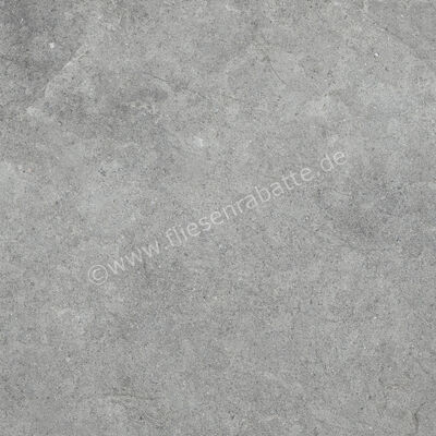  Ragno Richmond Carbon 60x60 cm Bodenfliese / Wandfliese Matt Eben Naturale RCDW | 516526