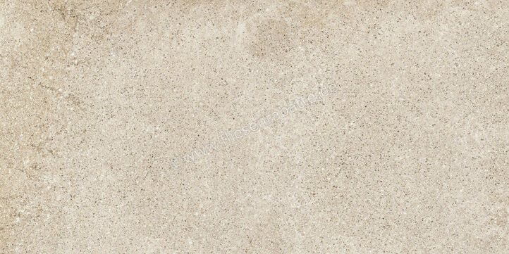  Ragno Stoneway_Porfido Ivory 30x60 cm Bodenfliese / Wandfliese Matt Strukturiert Naturale R46Y | 518965
