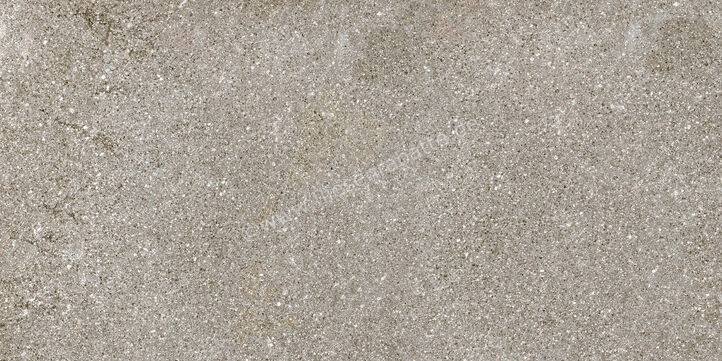  Ragno Stoneway_Porfido Grey 30x60 cm Bodenfliese / Wandfliese Matt Strukturiert Naturale R47A | 518971