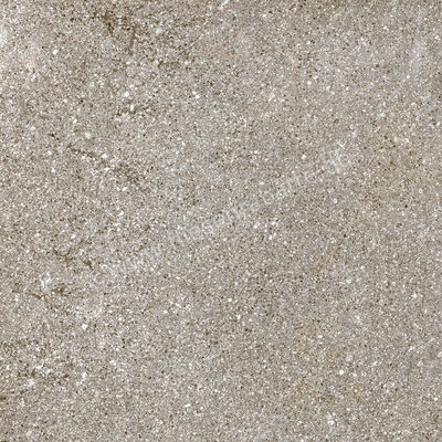  Ragno Stoneway_Porfido Grey 30x30 cm Bodenfliese / Wandfliese Matt Strukturiert Naturale R47H | 518989