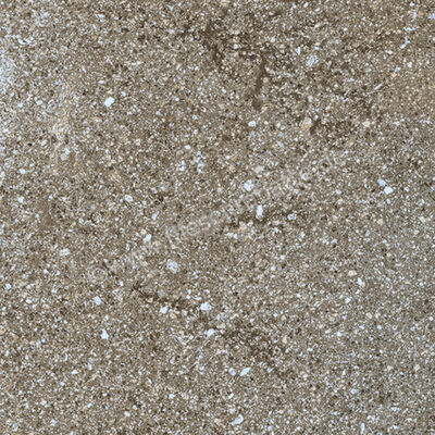  Ragno Stoneway_Porfido Anthracite 15x15 cm Bodenfliese / Wandfliese Matt Strukturiert Naturale R47R | 519010