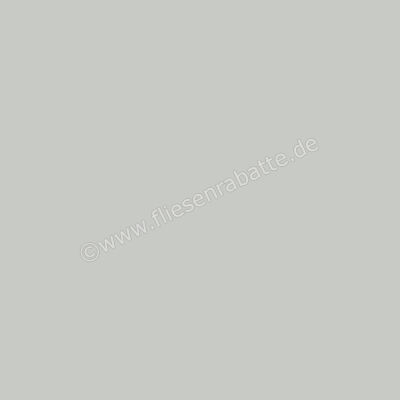  Ragno Unitech Argento 20x20 cm Bodenfliese / Wandfliese Matt Eben Naturale R1NL | 521566