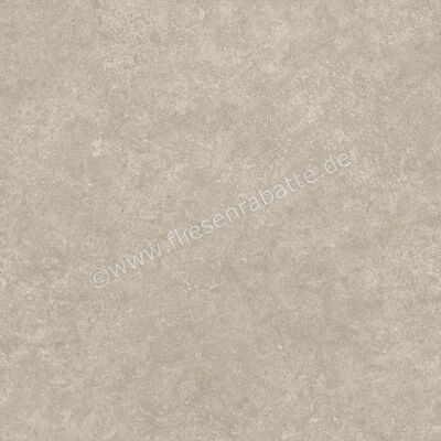 Ragno Tiempo Taupe 60x60 cm Bodenfliese / Wandfliese Matt Eben Naturale RCT2 | 523018
