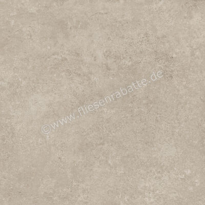  Ragno Tiempo Taupe 60x60 cm Bodenfliese / Wandfliese Matt Eben Naturale RCT2 | 523024