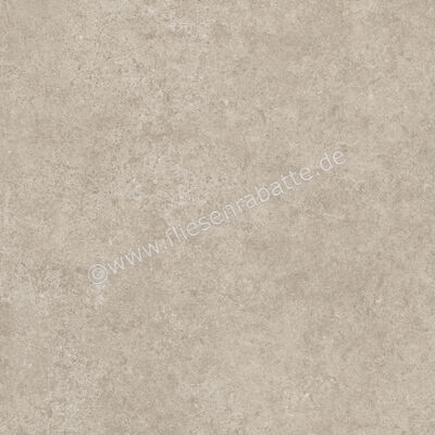  Ragno Tiempo Taupe 45x45 cm Bodenfliese / Wandfliese Matt Eben Naturale RCTU | 523207