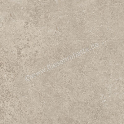  Ragno Tiempo Taupe 45x45 cm Bodenfliese / Wandfliese Matt Eben Naturale RCTU | 523210