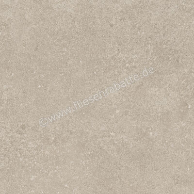  Ragno Tiempo Taupe 45x45 cm Bodenfliese / Wandfliese Matt Eben Naturale RCTU | 523213