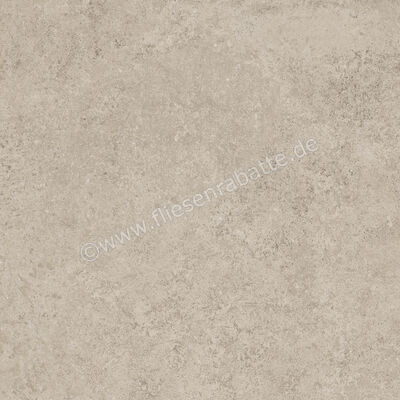  Ragno Tiempo Taupe 45x45 cm Bodenfliese / Wandfliese Matt Eben Naturale RCTU | 523219