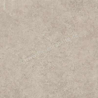  Ragno Tiempo Taupe 45x45 cm Bodenfliese / Wandfliese Matt Eben Naturale RCTU | 523225
