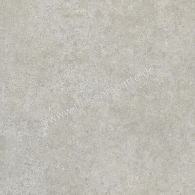  Ragno Tiempo Grigio 45x45 cm Bodenfliese / Wandfliese Matt Eben Naturale RCTX | 523279