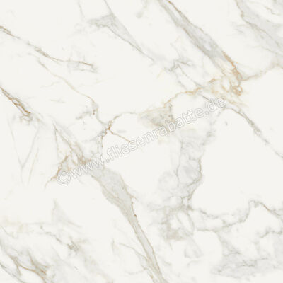  Monocibec On Stage Boulevard 80x80 cm Bodenfliese / Wandfliese Matt Eben Naturale 0133342 | 526894