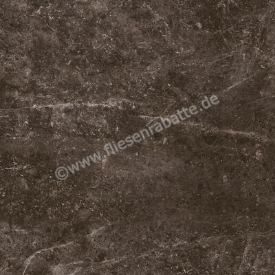 Margres Prestige Emperador Black 60x60 cm Bodenfliese / Wandfliese Poliert Eben Polido 66PT5 PL | 52885
