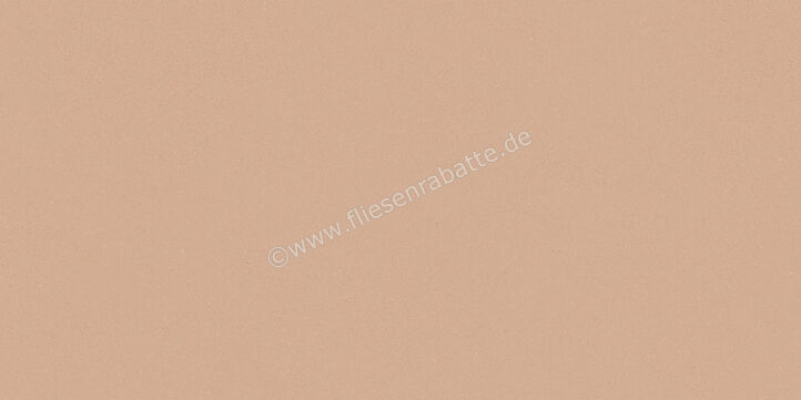  Del Conca Bioterre Terra 30x60 cm Bodenfliese / Wandfliese Matt Eben Naturale G8BE06R | 534657