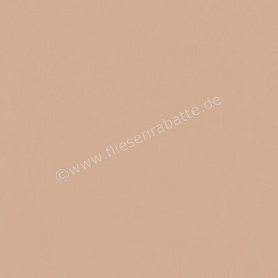  Del Conca Bioterre Terra 60x60 cm Bodenfliese / Wandfliese Matt Eben Naturale G9BE06R | 534681