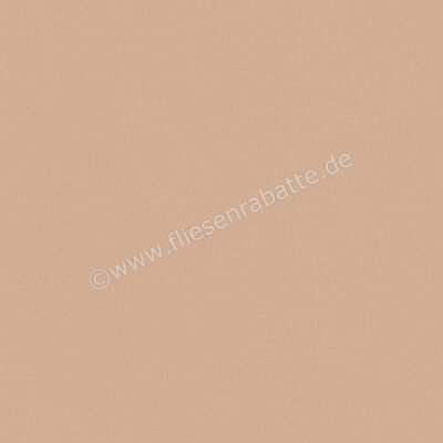  Del Conca Bioterre Terra 60x60 cm Bodenfliese / Wandfliese Matt Eben Naturale G9BE06R | 534702
