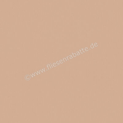  Del Conca Bioterre Terra 120x120 cm Bodenfliese / Wandfliese Matt Eben Naturale GRBE06R | 534735