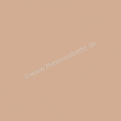  Del Conca Bioterre Terra 120x120 cm Bodenfliese / Wandfliese Matt Eben Naturale GRBE06R | 534744