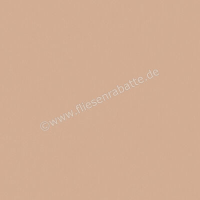  Del Conca Bioterre Terra 120x120 cm Bodenfliese / Wandfliese Matt Eben Naturale GRBE06R | 534747