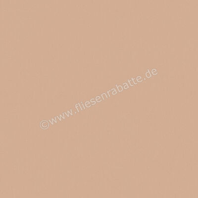  Del Conca Bioterre Terra 120x120 cm Bodenfliese / Wandfliese Matt Eben Naturale GRBE06R | 534750