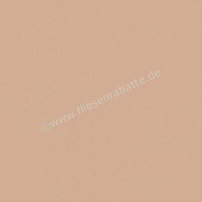  Del Conca Bioterre Terra 120x120 cm Bodenfliese / Wandfliese Matt Eben Naturale GRBE06R | 534753
