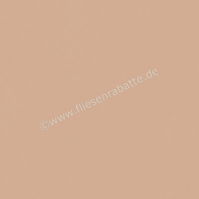  Del Conca Bioterre Terra 80x80 cm Bodenfliese / Wandfliese Matt Eben Naturale GTBE06R | 534765
