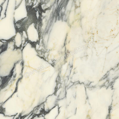  Del Conca Premiere Paonazzo 60x60 cm Bodenfliese / Wandfliese Glänzend Eben Shine G9PM10S | 535491