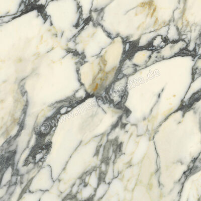  Del Conca Premiere Paonazzo 60x60 cm Bodenfliese / Wandfliese Matt Eben Naturale G9PM10R | 535518