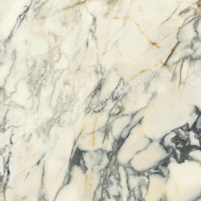  Del Conca Premiere Paonazzo 60x60 cm Bodenfliese / Wandfliese Glänzend Eben Shine G9PM10S | 535527