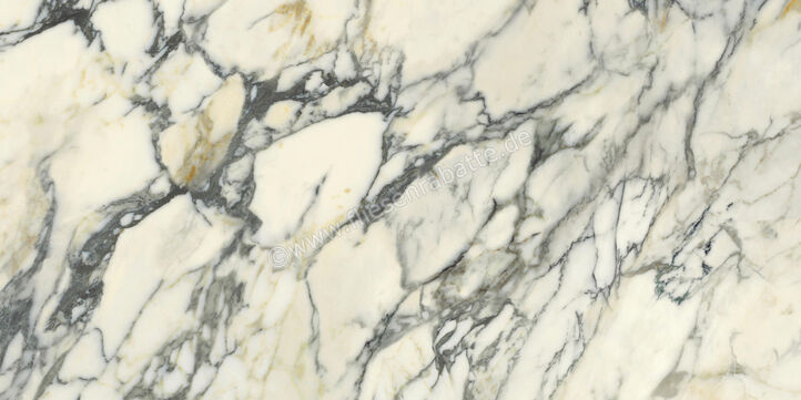  Del Conca Premiere Paonazzo 60x120 cm Bodenfliese / Wandfliese Matt Eben Naturale GCPM10R | 535542