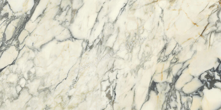  Del Conca Premiere Paonazzo 60x120 cm Bodenfliese / Wandfliese Matt Eben Naturale GCPM10R | 535551