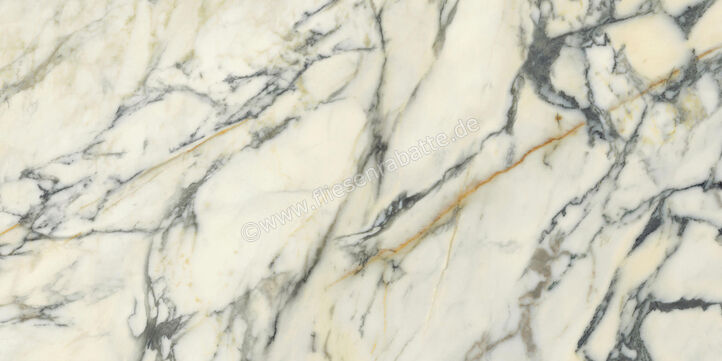 Del Conca Premiere Paonazzo 60x120 cm Bodenfliese / Wandfliese Matt Eben Naturale GCPM10R | 535554