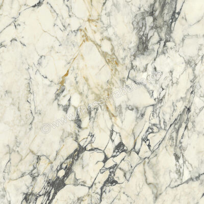  Del Conca Premiere Paonazzo 120x120 cm Bodenfliese / Wandfliese Glänzend Eben Shine GRPM10S | 535563