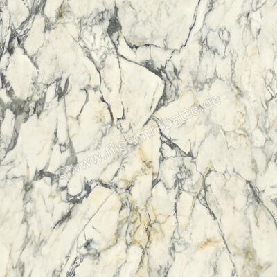  Del Conca Premiere Paonazzo 120x120 cm Bodenfliese / Wandfliese Glänzend Eben Shine GRPM10S | 535566