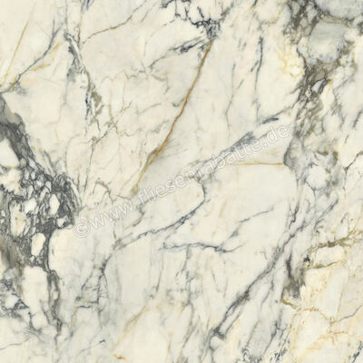 Del Conca Premiere Paonazzo 120x120 cm Bodenfliese / Wandfliese Glänzend Eben Shine GRPM10S | 535569