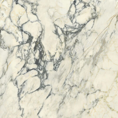 Del Conca Premiere Paonazzo 120x120 cm Bodenfliese / Wandfliese Glänzend Eben Shine GRPM10S | 535572