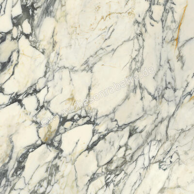  Del Conca Premiere Paonazzo 120x120 cm Bodenfliese / Wandfliese Glänzend Eben Shine GRPM10S | 535575