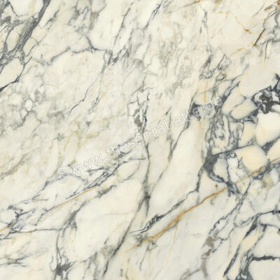  Del Conca Premiere Paonazzo 120x120 cm Bodenfliese / Wandfliese Glänzend Eben Shine GRPM10S | 535578