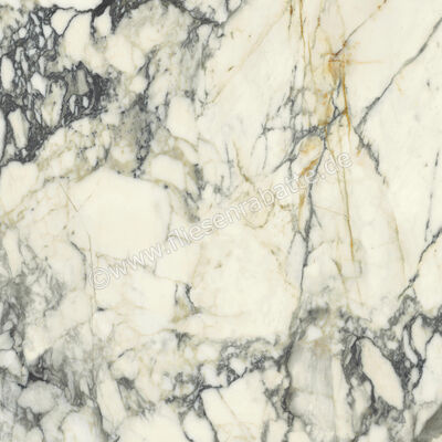  Del Conca Premiere Paonazzo 120x120 cm Bodenfliese / Wandfliese Glänzend Eben Shine GRPM10S | 535581